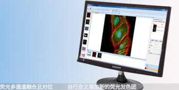 spectrumsee图像分析软件